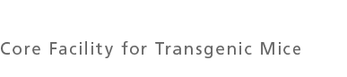 Transgenic Mice
